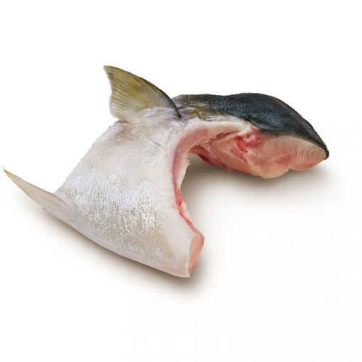 油甘魚鮫(稱重）(1)
