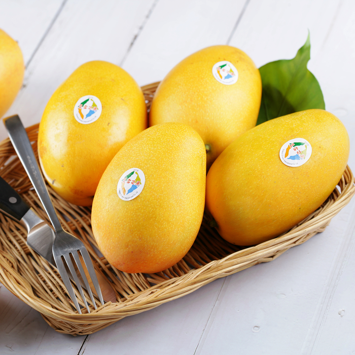 Search Results For Page 3 Orange Lifestyle橙式生活