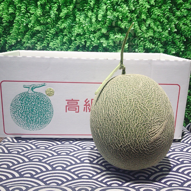 日本熊本縣肥後蜜瓜5l 2個裝 個 Orange Lifestyle橙式生活 日本熊本縣肥後蜜瓜5l 2個裝 個 Orange Lifestyle橙式生活