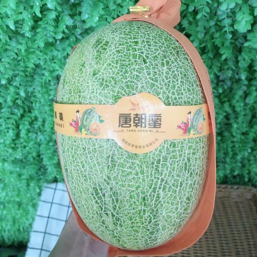 圖片_20230526144119