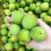 WeChat 圖片_20220526165726
